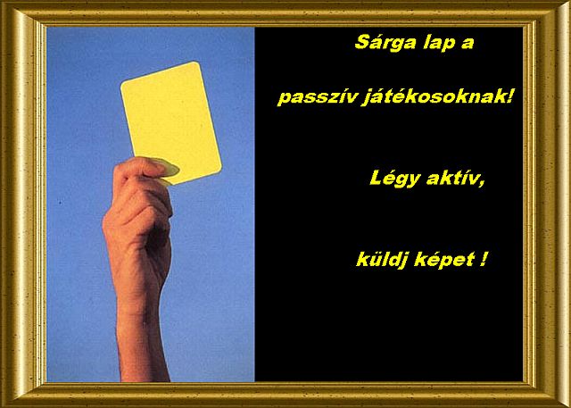 yellow card.jpg